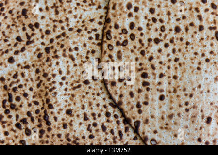 Hintergrund der matzo auf Pessach Stockfoto