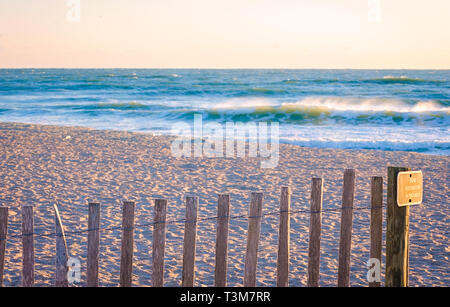 Ein holzzaun schützt Sanddünen restauriert, 21. März 2016, in St. Augustine, Florida. Sanddünen zu schützen, die den Strand von Erosion. Stockfoto