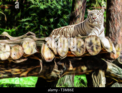 Liegen weiße Tiger im Wald Stockfoto