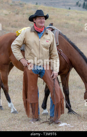 American Cowboy und sein Pferd Stockfoto