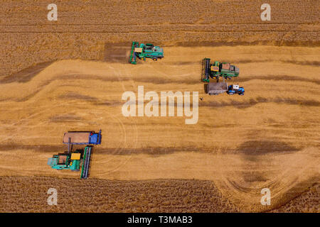 Krasnodar, Russland - 22 Juli 2017: Ernte von Weizen Harvester. Landwirtschaftliche Maschinen, die Ernte auf dem Feld. Landwirtschaftliche Maschinen in Betrieb. Stockfoto