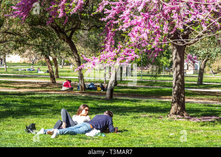 Valencia Turia Gärten Menschen genießen den Tag, Freunde, die unter dem Judas-Baum Frühling in den Turia Gärten Valencia Spanien Europa Jardín del Turia Stockfoto