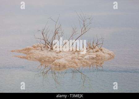 Totes Meer Salz Steine und Kristalle auf der kleinen Insel am Toten Meer. Israel Stockfoto