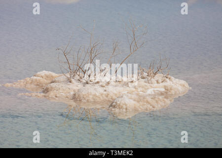 Totes Meer Salz Steine und Kristalle auf der kleinen Insel am Toten Meer. Israel Stockfoto