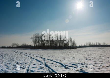 Die Spuren der Räder auf schneebedeckten Feld, eine Gruppe von Bäumen, die Sonne am Himmel - Winter Blick Stockfoto
