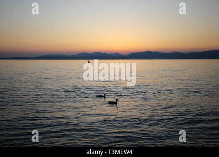 Schönen Sonnenuntergang am Gardasee in Italien Stockfoto