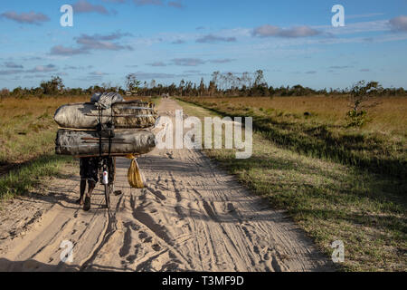 Ein Mann schiebt sein Fahrrad mit Holzkohle zum Kochen durch den Sand in der Folge der massiven Cyclone Idai April 6, 2019 in Nhagau, Mosambik geladen. Das World Food Programm, mit Hilfe von der US Air Force ist Transport der Hilfsgüter der verwüsteten Region zu unterstützen. Stockfoto