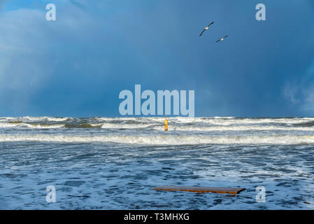 Große Wellen gelb zwei Möwen in der Ostsee in Stegna selektiven Fokus Boje Stockfoto