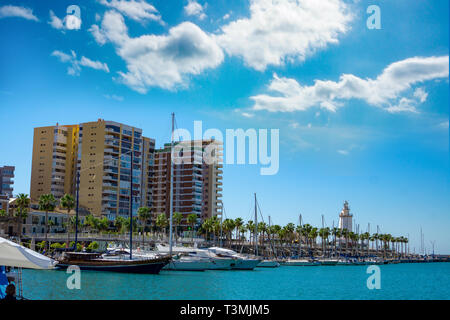 Malaga Hafen mit Yachten und Palmen und blauem Himmel Stockfoto