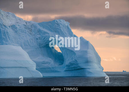 Eisberge bei Sonnenuntergang, Scoresbysund, Grönland Stockfoto