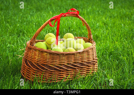 Tennis Ostern mit Tennis Bälle in einen Korb auf grünem Gras. Selektiver Fokus, kopieren. Stockfoto