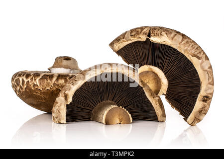 Gruppe von einer ganzen zwei Hälften der Rohe frische braune Champignons Portobello auf weißem Hintergrund Stockfoto