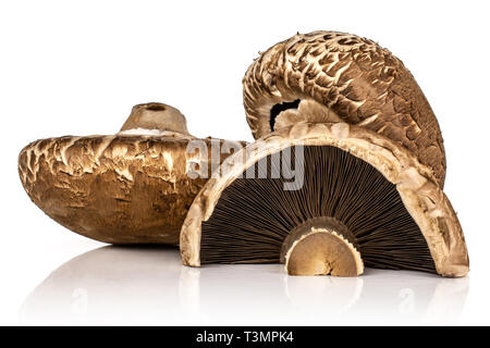 Gruppe von zwei ganze Hälfte der Rohe frische braune Champignons Portobello auf weißem Hintergrund Stockfoto