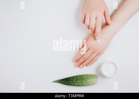 Schöne gepflegte Hände der Frau mit organischen Cremetopf und Aloe vera frische Blätter auf weißem Hintergrund. Feuchtigkeitsspendende Creme für saubere und weiche Haut. Fla Stockfoto