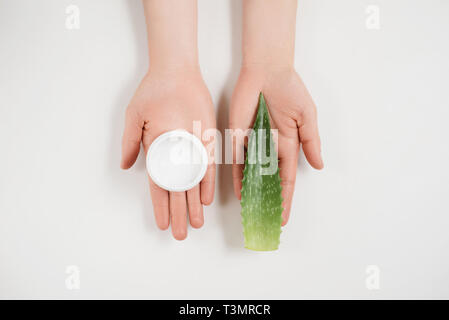 Schöne weibliche Hände und kosmetische Creme und Aloe vera frische Blätter auf einem weißen Hintergrund. Bio Creme für zarte Haut. Flach, Ansicht von oben, Kopieren spac Stockfoto