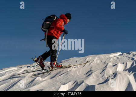 Männliche backcountry Skier steigt an den Hängen des Tarcu Gipfel, Rumänien Stockfoto