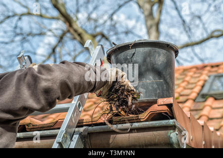 Mann auf einer Leiter Reinigung Haus Dachrinnen Stockfoto