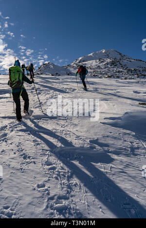 Gruppe von Alpinisten aufsteigen und erreichen eine der spektakulärsten Gipfel im Retezat Nationalpark, Rumänien, den Gipfel des Retezat auf Skiern. Stockfoto