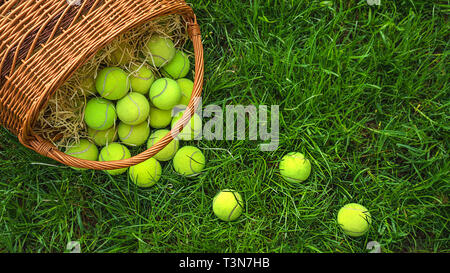 Tennis Ostern mit Tennis Bälle in einen Korb auf grünem Gras. Selektiver Fokus, kopieren. Stockfoto