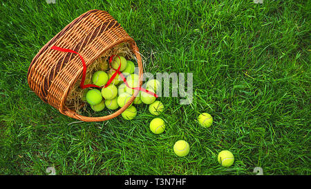 Tennis Ostern mit Tennis Bälle in einen Korb auf grünem Gras. Selektiver Fokus, kopieren. Stockfoto