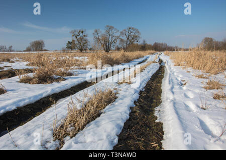 Schmelzender Schnee auf der Landstraße. Trockenes Gras und hohen Bäumen auf der Wiese Stockfoto