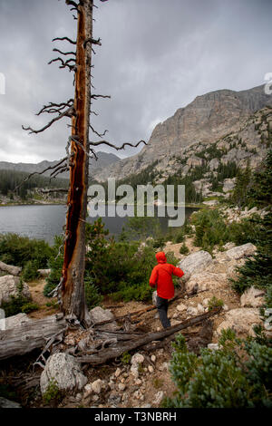 Fliegenfischer angeln Birne See im Rocky Mountain National Park. Stockfoto