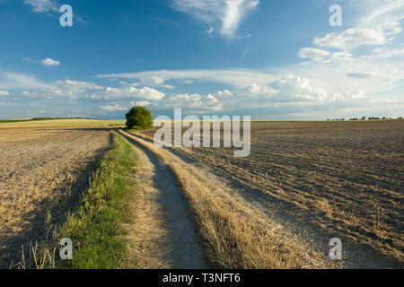Ländliche Straße durch gepflügten Feldern Stockfoto