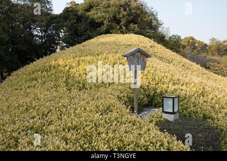 Der japanische Garten in Daisen Park in Sakai City, Osaka, Japan. Stockfoto