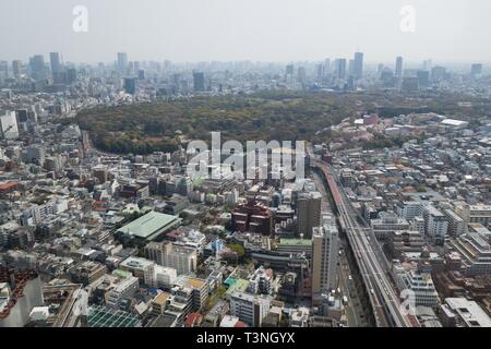 Einen Blick auf Tokio einschließlich Yoyogi Park, wie aus der 44. Etage des Park Hyatt Hotel gesehen. Stockfoto