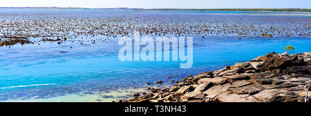 Exponierten Riffs und Felsen bei Ebbe am Cape Leveque, Dampier Peninsula, Western Australia Stockfoto