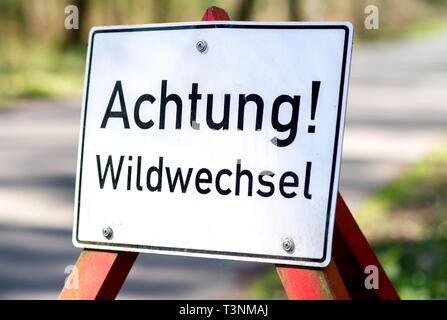 Vechta, Deutschland. 09 Apr, 2019. Ein Verkehrsschild mit der Aufschrift "Achtung! Wildwechsel' steht am Rande einer Straße. Credit: Hauke-Christian Dittrich/dpa/Alamy leben Nachrichten Stockfoto