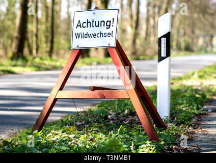 Vechta, Deutschland. 09 Apr, 2019. Ein Verkehrsschild mit der Aufschrift "Achtung! Wildwechsel' steht am Rande einer Straße. Credit: Hauke-Christian Dittrich/dpa/Alamy leben Nachrichten Stockfoto