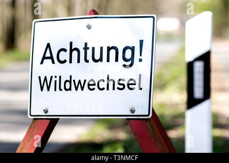 Vechta, Deutschland. 09 Apr, 2019. Ein Verkehrsschild mit der Aufschrift "Achtung! Wildwechsel' steht am Rande einer Straße. Credit: Hauke-Christian Dittrich/dpa/Alamy leben Nachrichten Stockfoto