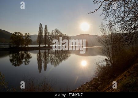 Osterspai, Deutschland. 11 Apr, 2019. Eine Gruppe von Bäumen auf einer Mole ist im Wasser des Rheins am Morgen wider. Quelle: Thomas Frey/dpa/Alamy leben Nachrichten Stockfoto