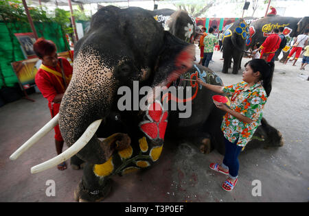 Ein Thai mahout und ein Student Farben auf einem Elefanten während der Feier der Songkran water Festival in Ayutthaya Provinz, nördlich von Bangkok. Stockfoto