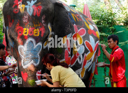 Ein Thai mahout und ein Student Farben auf einem Elefanten während der Feier der Songkran water Festival in Ayutthaya Provinz, nördlich von Bangkok. Stockfoto