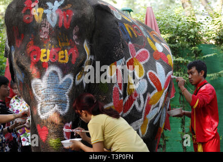 Ayutthaya, Thailand. 11 Apr, 2019. Ein Thai mahout und ein Student Farben auf einem Elefanten während der Feier der Songkran water Festival in Ayutthaya Provinz, nördlich von Bangkok. Credit: chaiwat Subprasm/SOPA Images/ZUMA Draht/Alamy leben Nachrichten Stockfoto