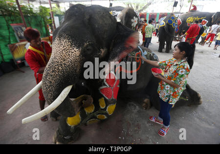 Ayutthaya, Thailand. 11 Apr, 2019. Ein Thai mahout und ein Student Farben auf einem Elefanten während der Feier der Songkran water Festival in Ayutthaya Provinz, nördlich von Bangkok. Credit: chaiwat Subprasm/SOPA Images/ZUMA Draht/Alamy leben Nachrichten Stockfoto