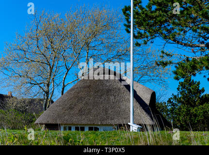 08. April 2019, Schleswig-Holstein, Kampen (Sylt): Die Sonne scheint auf die strohgedeckten Haus 'Wattkücken' an der Ost Küste von Sylt Foto: Axel Heimken/dpa Stockfoto