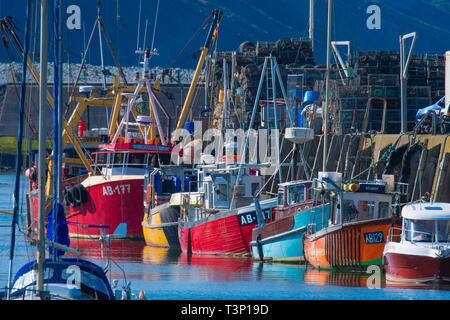 Aberystwyth Wales, UK. 11 Apr, 2019. UK Wetter: lokale Küstenfischerei Boote bis in die Farben des Regenbogens gesäumt gegen die Hafenmauer auf einem strahlend hellen und sonnigen Morgen in Aberystwyth auf der Cardigan Bay Küste von West Wales. Credit: Keith Morris/Alamy leben Nachrichten Stockfoto