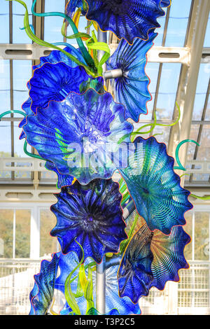 Kew Gardens, London, Großbritannien, 11. April 2019. Dale Chihuly, Ausstellung „Reflections on Nature“, offizielle Pressefotoausstellung. Stockfoto