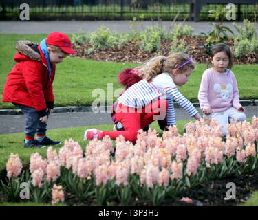 Glasgow, Schottland, Großbritannien. 11 Apr, 2019. UK Wetter: Sonnig Sommertag im Victoria Park als Grünfläche Blume der Stadt zeigt Hit ihren Höhepunkt im hellen Sonnenschein und hohen Temperaturen im Zentrum der Stadt. Credit: Gerard Fähre / alamy Leben Nachrichten Stockfoto