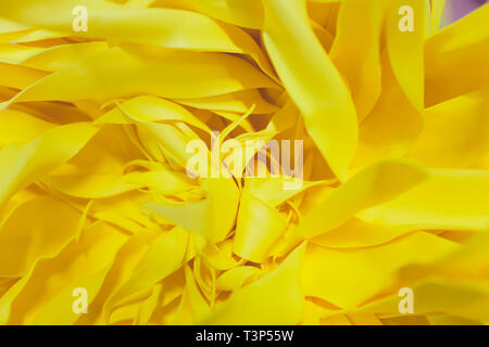 Papier Blumen und Wellpappe auf der Wand Stockfoto