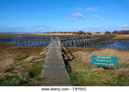 Aberlady Bay Nature Reserve, East Lothian, Schottland Stockfoto