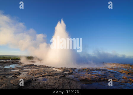 Ausbruch der Geysir Strokkur. Südwestlichen Teil von Island in die geothermale Region. Sonnigen Tag mit strahlend blauem Himmel. Meisterwerke der Natur Stockfoto