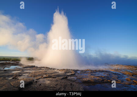 Ausbruch der Geysir Strokkur. Südwestlichen Teil von Island in die geothermale Region. Sonnigen Tag mit strahlend blauem Himmel. Meisterwerke der Natur Stockfoto