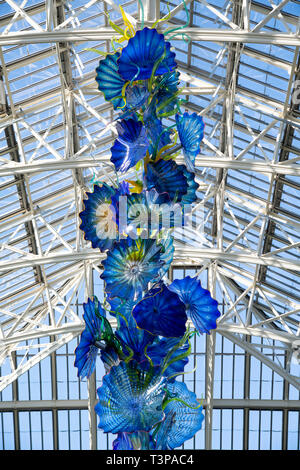 'Opal und Gold Kronleuchter", ein mundgeblasenes Glas und Stahl Skulptur, die von Dale Chihuly hängen in den Gemäßigten Haus in Kew Gardens, London, UK Stockfoto