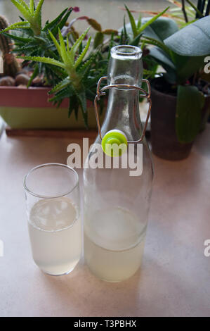 Wasser Kefir trinken ist in einem Liter Glas Flasche mit der Verschlusskappe, in ein Glas gegossen. Dieses gesunde Getränk ist ein natürliches Probiotikum für die Darmgesundheit eine Stockfoto