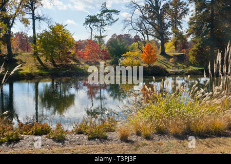 Wolken über rot-leaved Hartriegel Bäume neben Murphy See in St. Louis Forest Park im Wasser auf einem Herbst Tag wider. Stockfoto