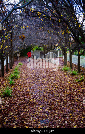 Japanischer Krieg Friedhof, Cowra NSW Australien Stockfoto